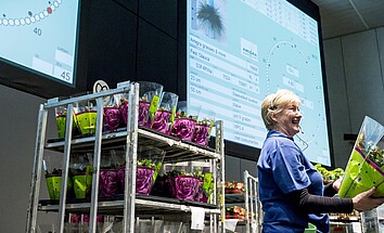 Optimise floriculture and make it more sustainable with AI algorithms