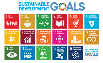 Multinationals and the UN's Sustainable Development Goals: what do first steps reveal?