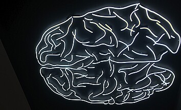 How brain measures can help to understand fairness