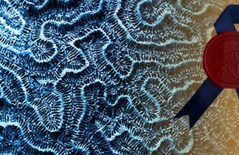 ERIM AWARDS – RSM’s best research of 2020