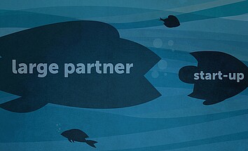 Navigating alliances with bigger partners